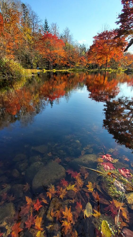 福原山荘